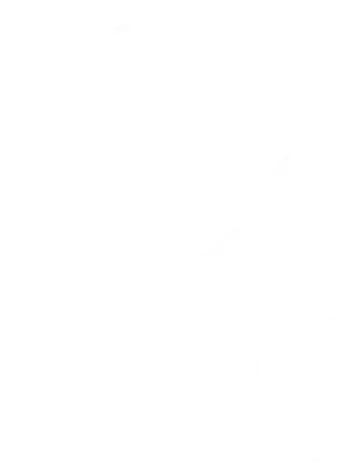PEFC-Glulam-Beams
